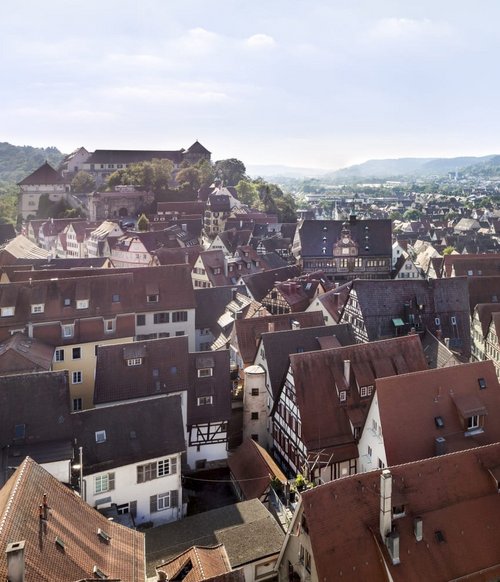 Ein Panoramablick über eine Stadt mit vielen verschiedenen Gebäuden und Häusern, die überwiegend rote Dächer haben. Im Hintergrund sind grüne Hügel und ein Schloss zu sehen, das auf einem Hügel thront. Die Stadt scheint gut erhalten zu sein, mit einer Mischung aus modernen und traditionellen Architekturelementen. Der Himmel ist klar und hell, was auf einen sonnigen Tag hindeutet.