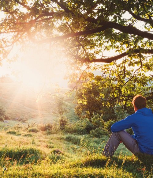 Ein junger Mann sitzt am Boden unter einem Baum und betrachtet den Sonnenaufgang über sanften Hügeln und üppigen grünen Wiesen. Die warmen Sonnenstrahlen strahlen durch die Blätter des Baumes, während die Natur friedlich um ihn herum blüht.